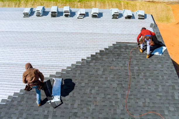 Best Roof Waterproofing Services  in Mount Pleasant, MI