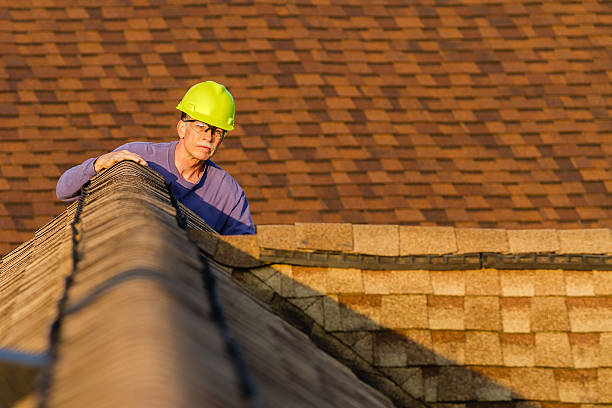 Best Roof Repair Services  in Mount Pleasant, MI